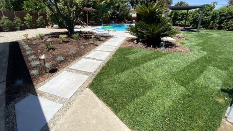 Should You Install Your New Lawn Using Seed Or Sod?