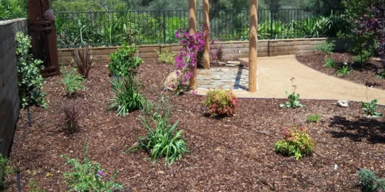 How to Redesign an Overgrown Yard Without Starting Over