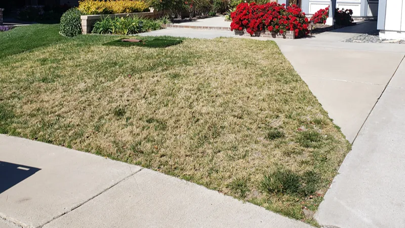 Residential landscape before synthetic turf installation