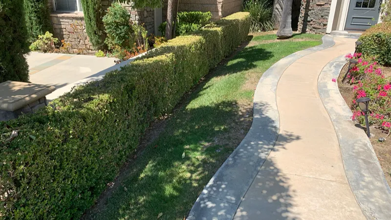 Front entry and lawn before the Brea landscape update