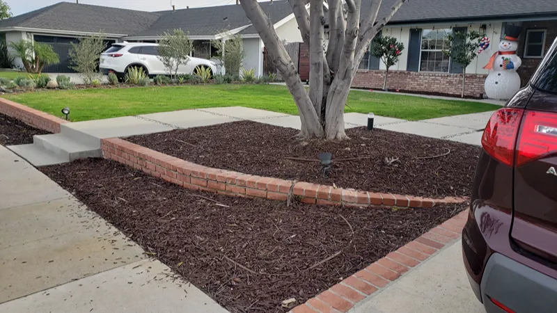 Existing lawn and planting beds before the Fullerton front yard update