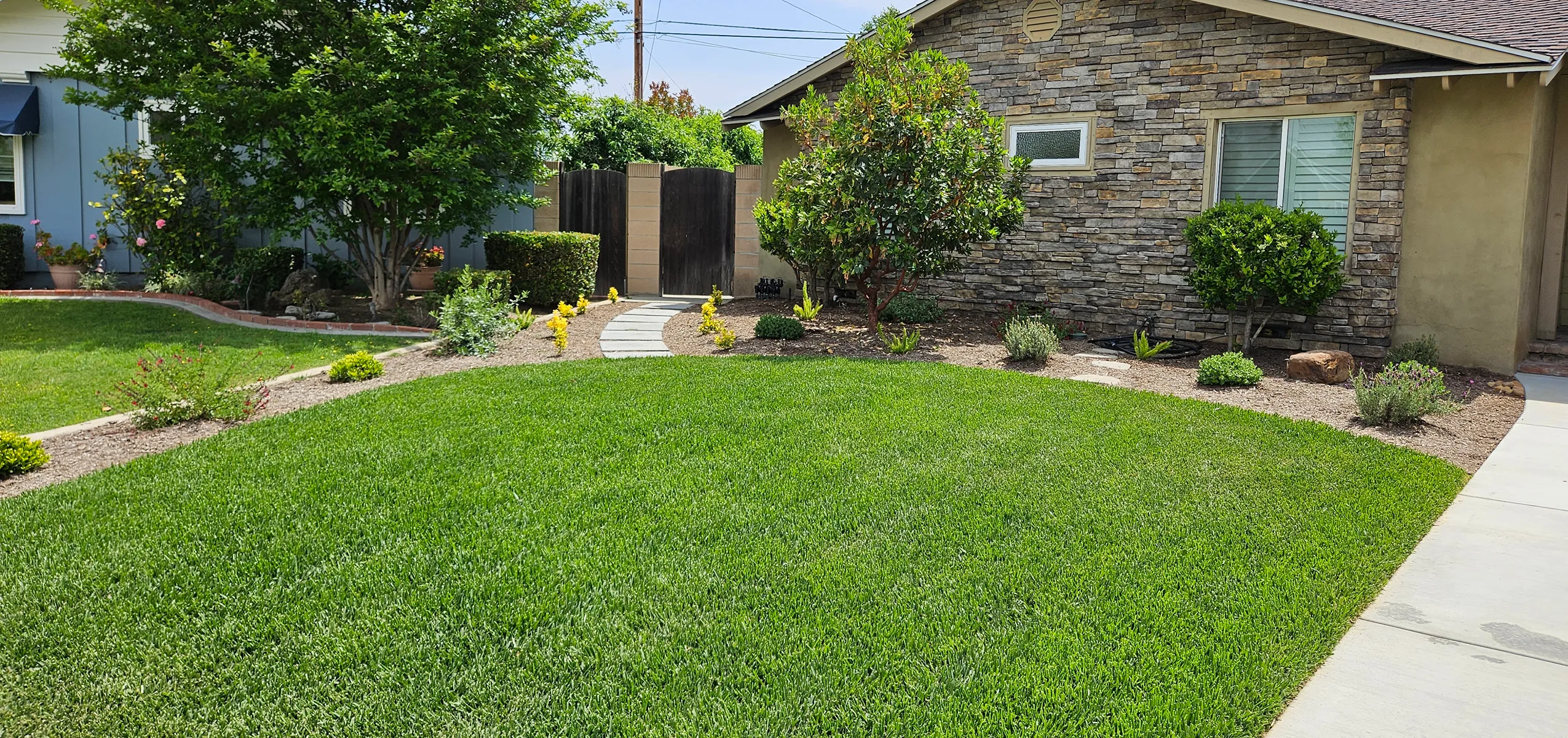 Professionally maintained trees, shrubs, hedges, and lawn