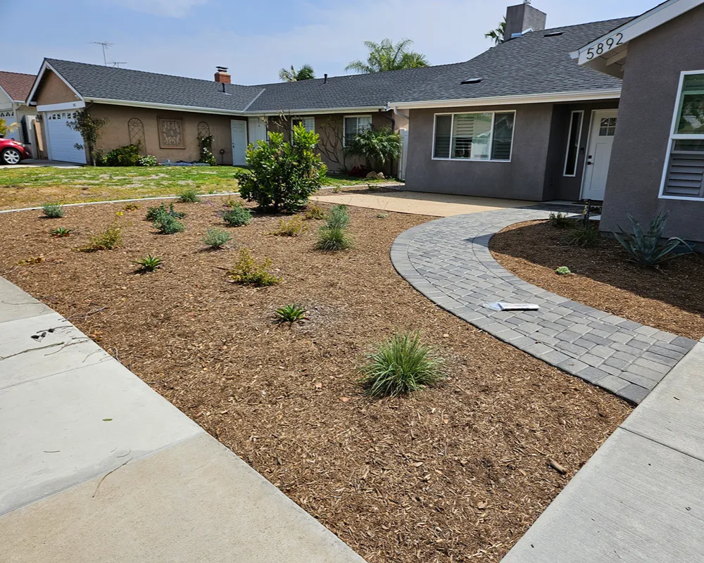 Completed landscape design and installation project in Anaheim, California