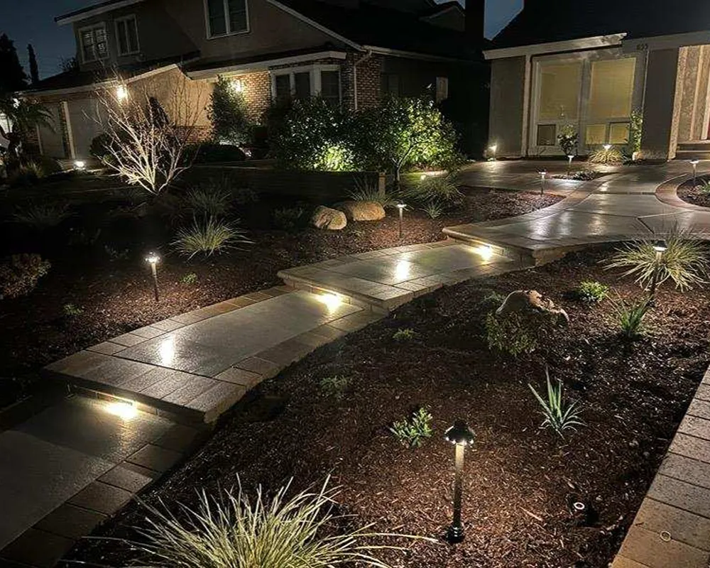 Landscape lighting illuminating trees and shrubs in a residential yard