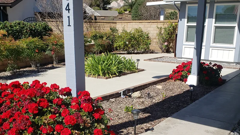Residential yard before a complete landscaping renovation