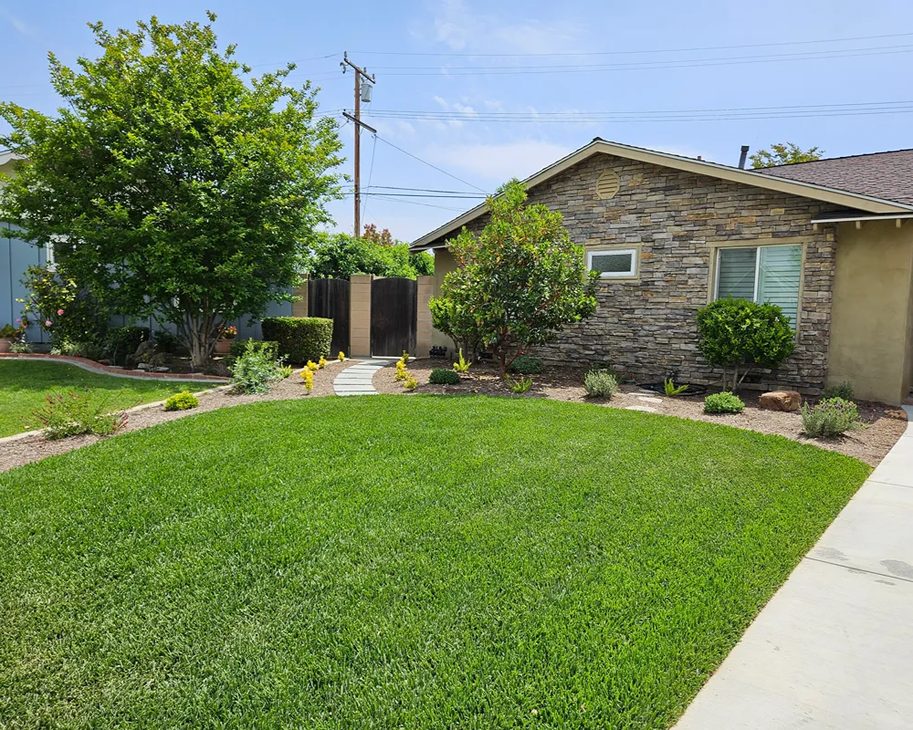 Residential lawn receiving professional weed control in Fullerton