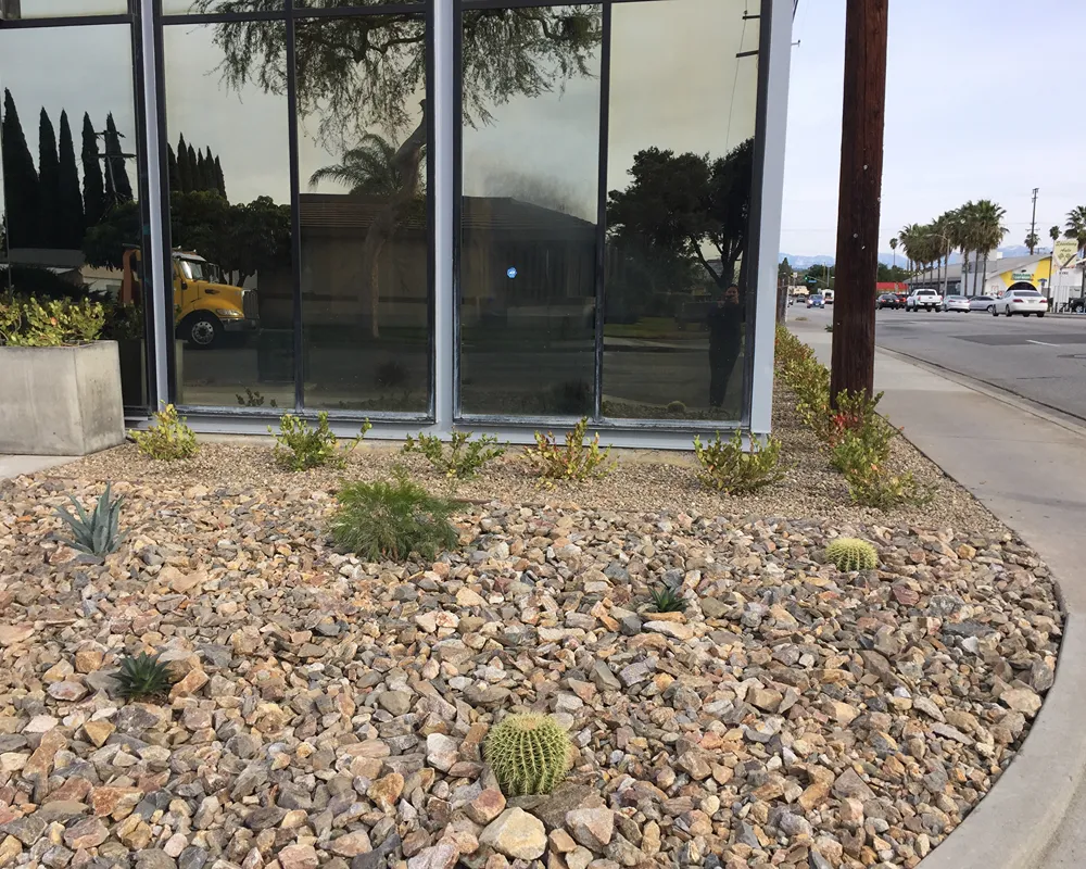 Low-maintenance xeriscape with drought-tolerant plants and decorative stone