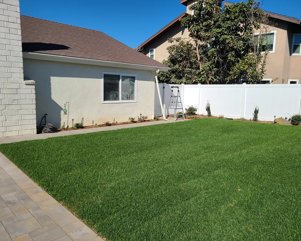 New lawn installed after correcting yard drainage in Fullerton