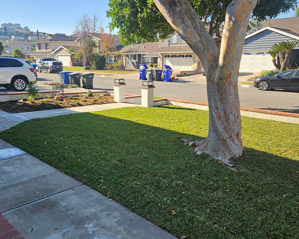 Professionally designed and installed residential landscape in Fullerton, California