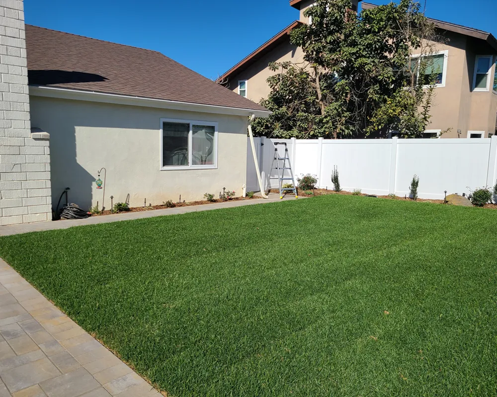 Residential landscape after seasonal trimming and property cleanup