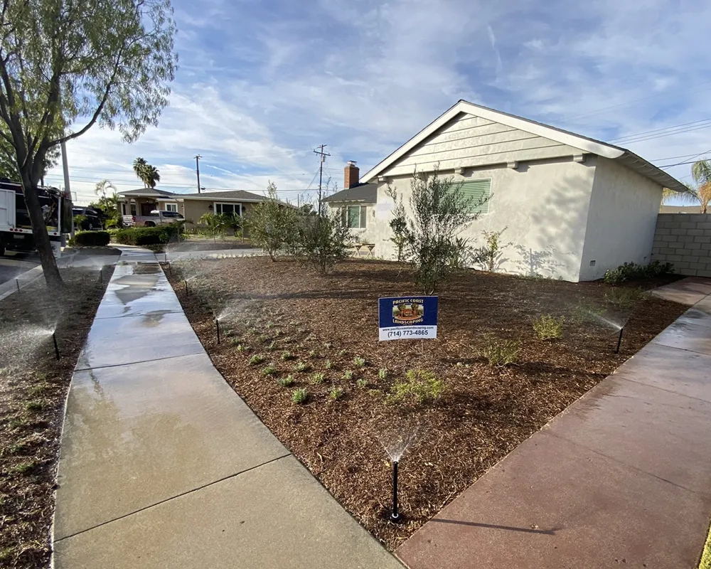 Professionally renovated residential landscape in Santa Ana, California