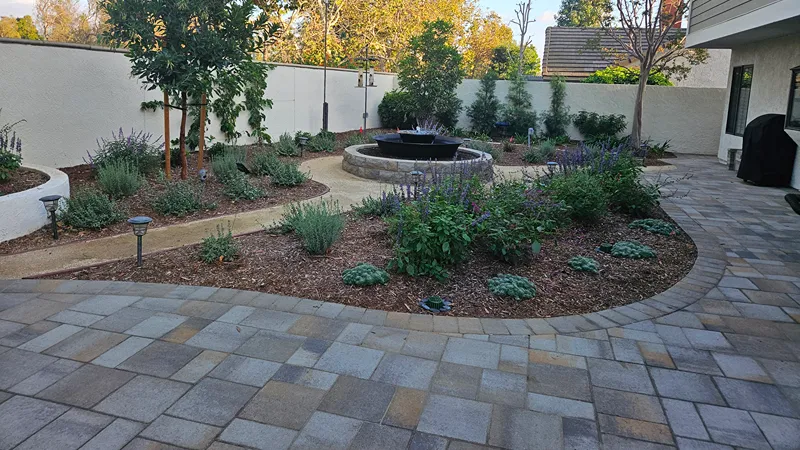 Fullerton landscape after new planting, white river rock, and irrigation installation