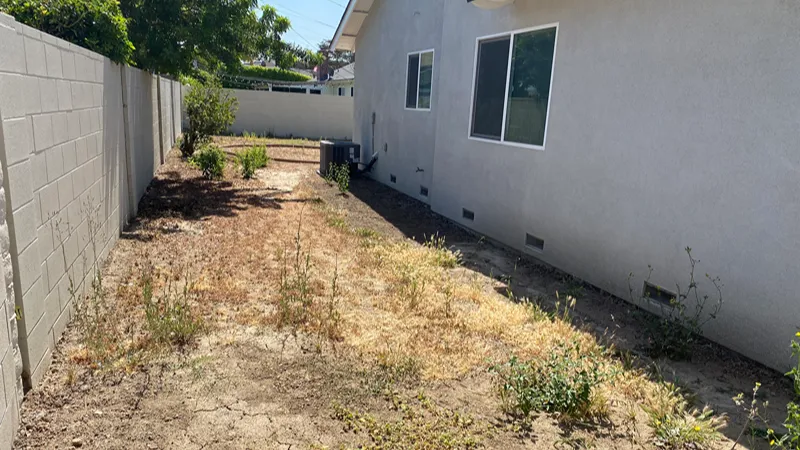 Residential landscape before new trees and shrubs were planted