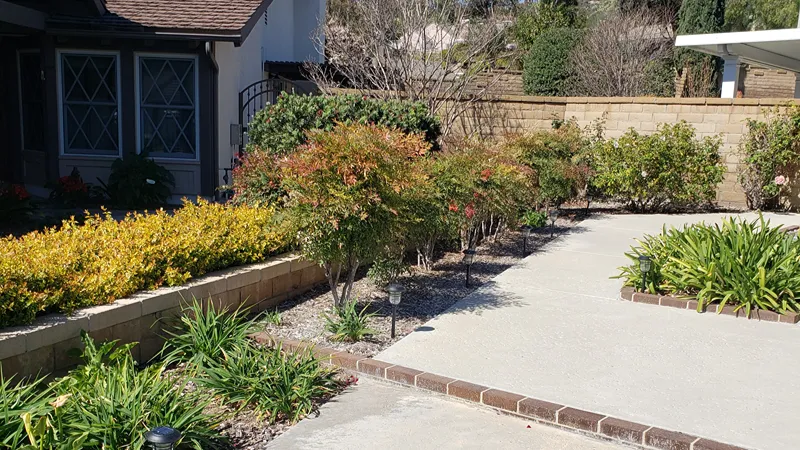 Front yard lawn before the landscape renovation in Yorba Linda