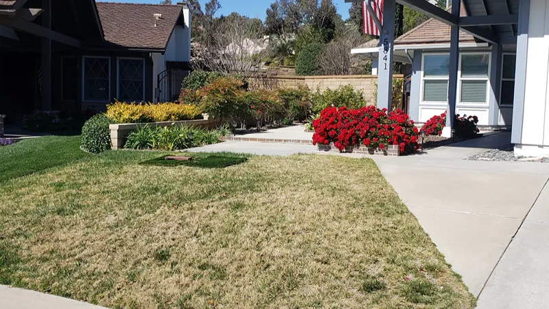 Existing front planting area before the landscape renovation