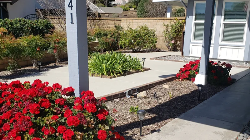 Original driveway and front landscape before renovation in Yorba Linda