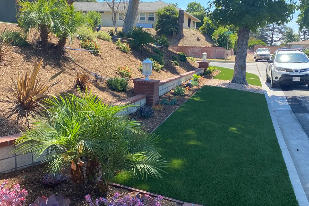 Second view of the Whittier parkway after the landscape makeover