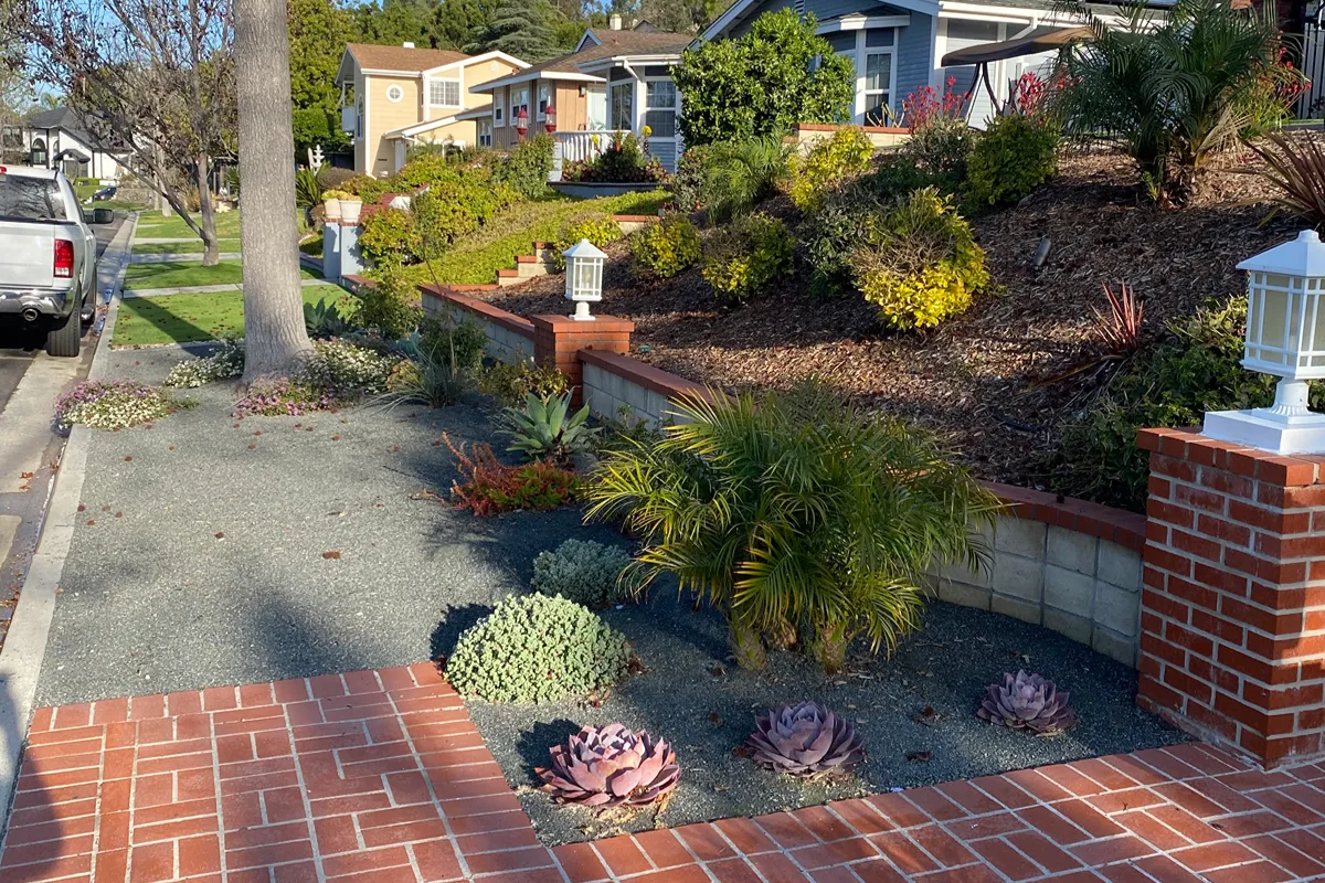 Whittier corner lot parkway before landscaping renovation
