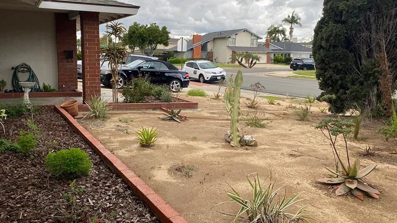 Placentia front yard before artificial turf and landscape renovation