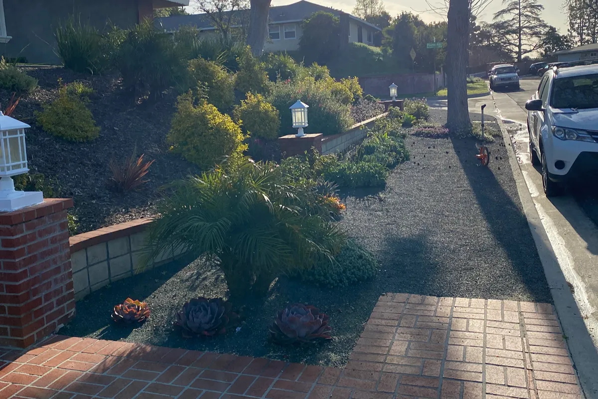 Second view of the Whittier parkway before the landscape makeover