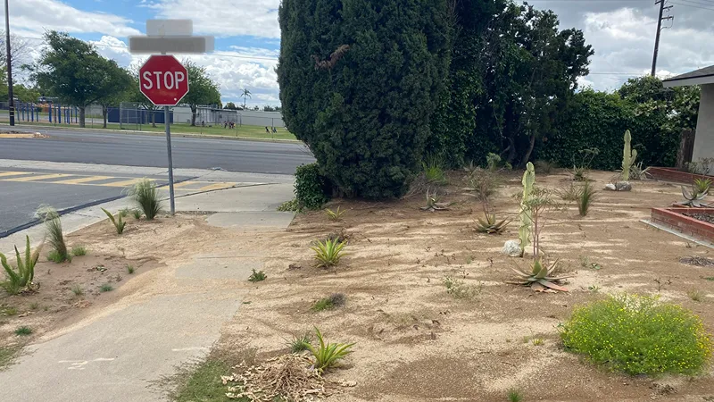 Second view of the Placentia front yard before the landscaping overhaul
