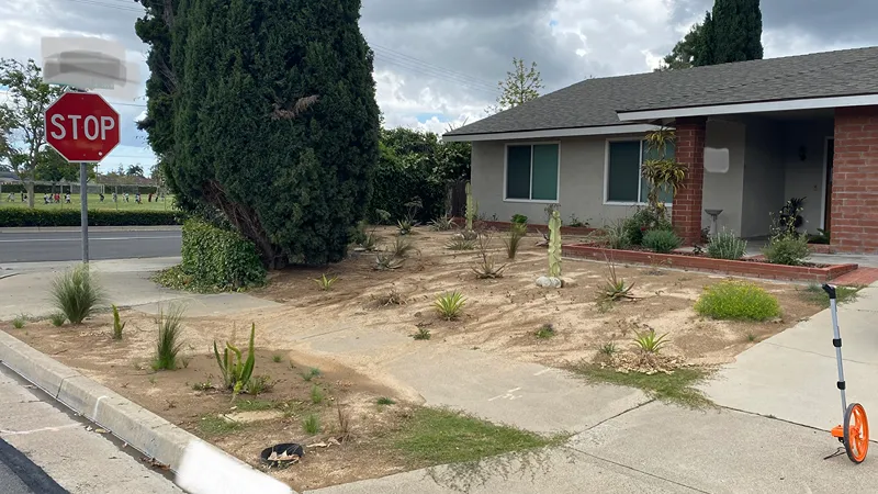 Third view of the Placentia front yard before the landscaping overhaul