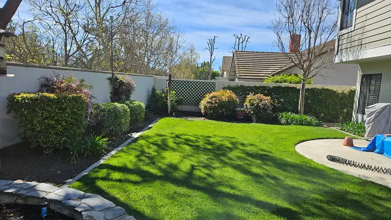 Orange California backyard before patio and fountain renovation
