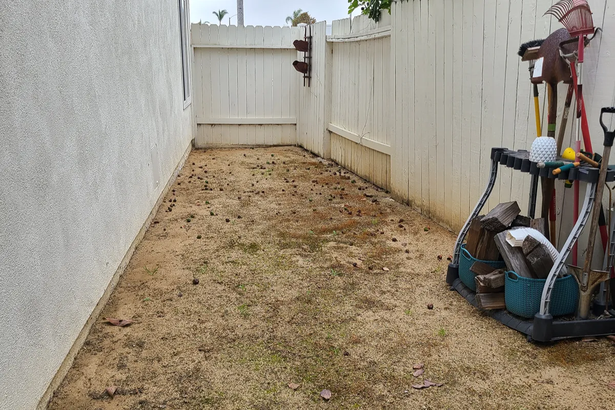 Huntington Beach backyard before complete landscape renovation