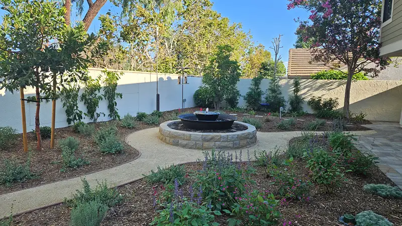 Orange backyard after renovation with custom fountain, garden pathways and planting